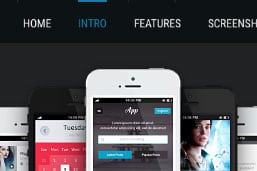 onepage11 Avada One Page Parallax