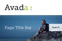 ptb_sm11 Avada Page Title Bar