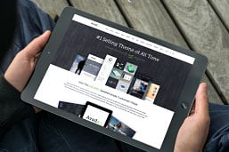 responsive_sm31 Avada Admin
