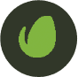 review_envato1