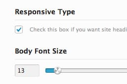 type_sm1 Avada Typography